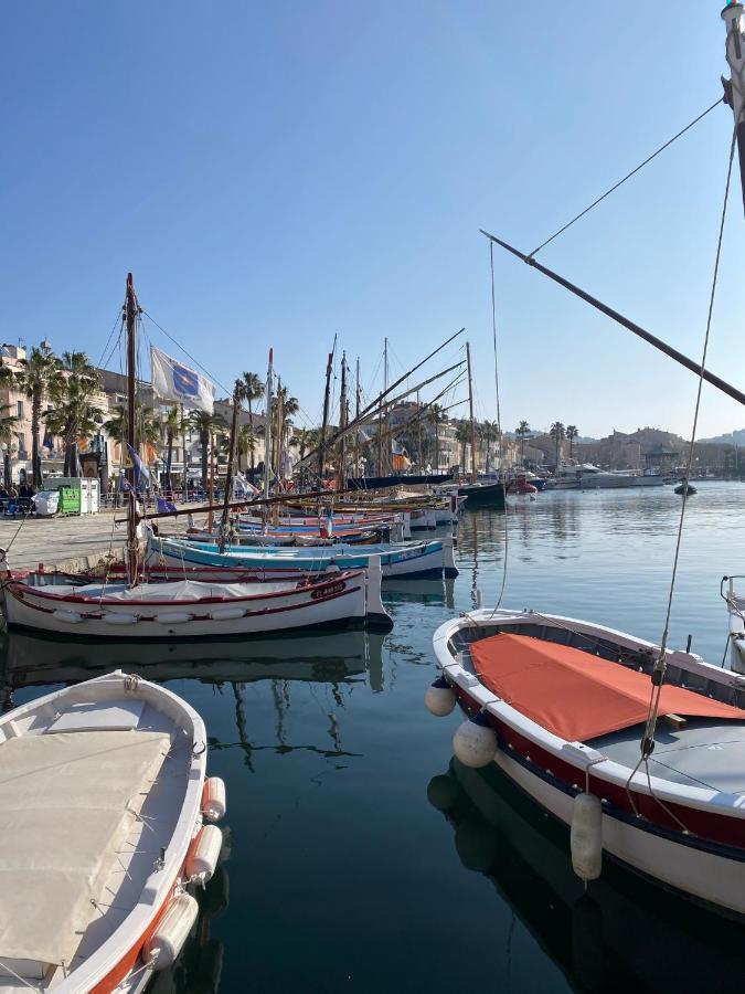 Les Nuits Etoilees, Studio Terrasse Apercu Mer, Tres Lumineux, Ac, 100M Du Port Sanary Eksteriør billede