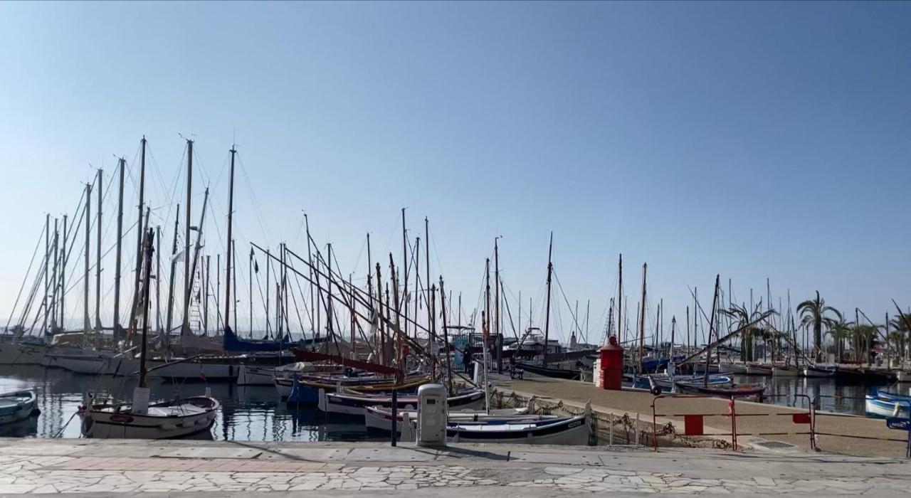 Les Nuits Etoilees, Studio Terrasse Apercu Mer, Tres Lumineux, Ac, 100M Du Port Sanary Eksteriør billede